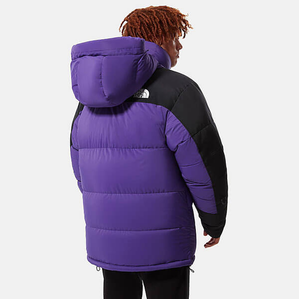 ★日本未入荷【THE NORTHFACE】RETRO HIMALAYANダウンジャケット 4QYP