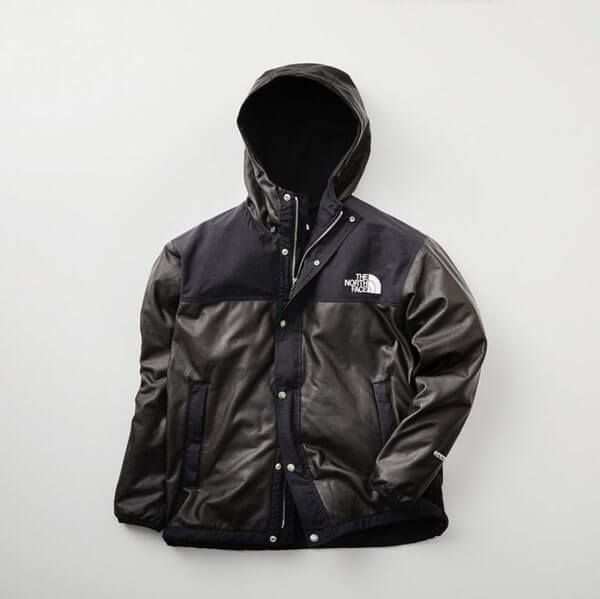 THE NORTH FACE GTX Pamir Jacket パミールジャケット NP11861R