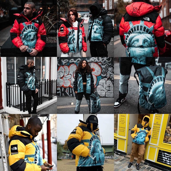 シュプリーム/The North Face Statue Of Liberty Mountain Jacket