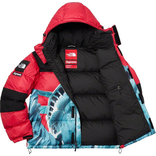 シュプリーム/The North Face Statue Of Liberty Mountain Jacket