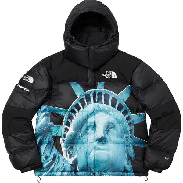 シュプリーム/The North Face Statue Of Liberty Mountain Jacket