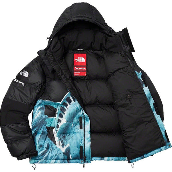 シュプリーム/The North Face Statue Of Liberty Mountain Jacket