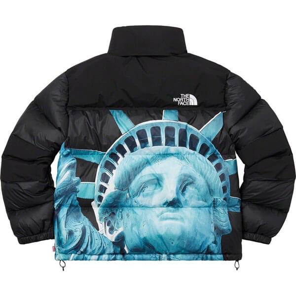 シュプリーム/The North Face Statue Of Liberty Mountain Jacket