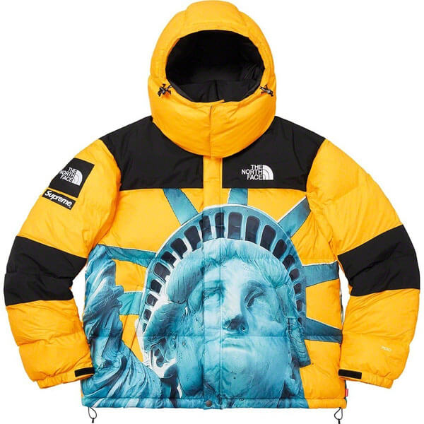 シュプリーム/The North Face Statue Of Liberty Mountain Jacket