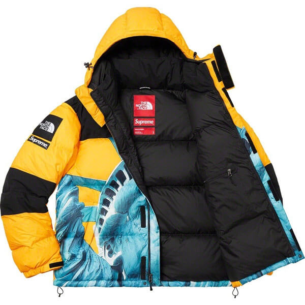 シュプリーム/The North Face Statue Of Liberty Mountain Jacket