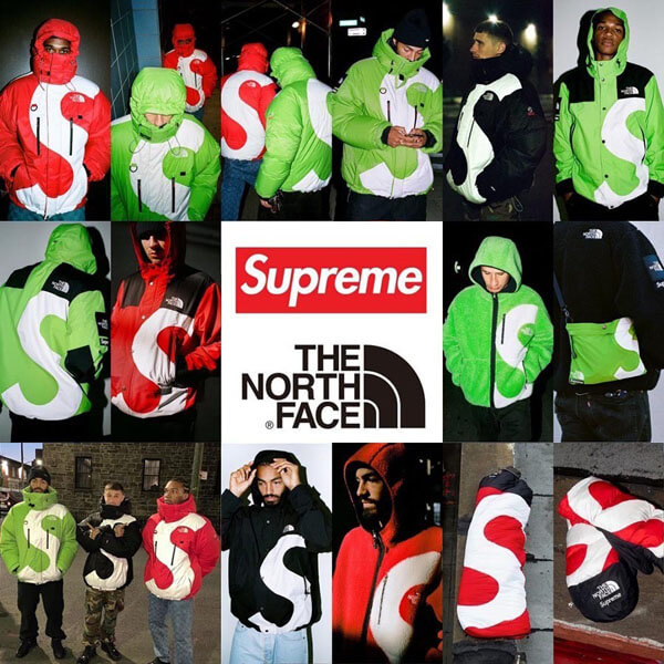 シュプリーム north face 偽物 シュプリーム ノースフェイス ダウン S Logo ヒマラヤン