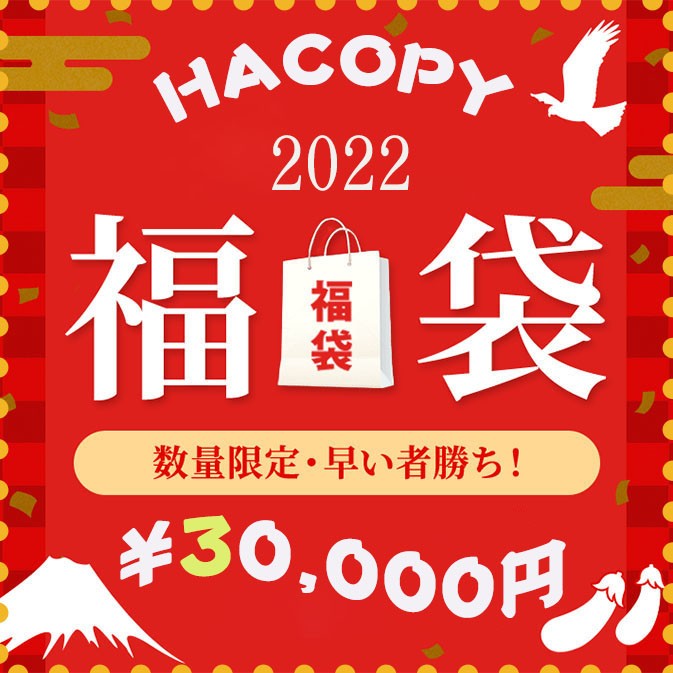 スーパーコピーブランド財布バッグ★2022年福袋★レディース04