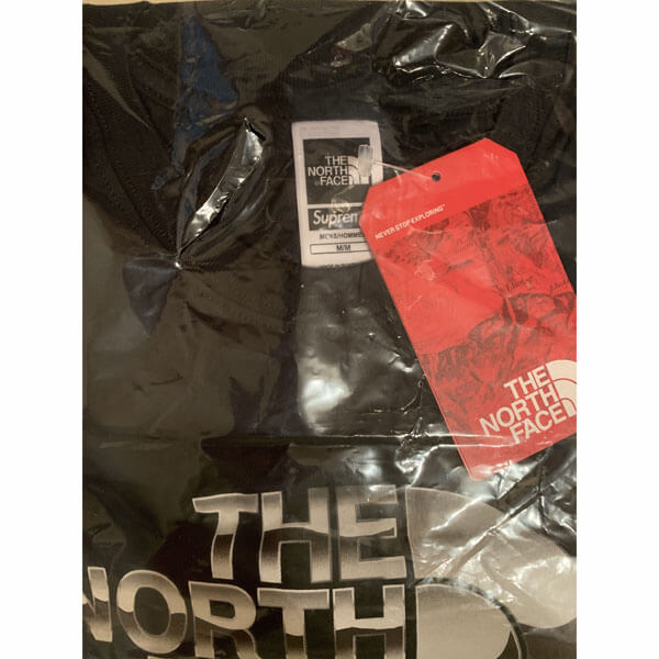 シュプリーム 偽物 シュプリーム The North Face Metallic Logo S/S Top SS18 Week 7