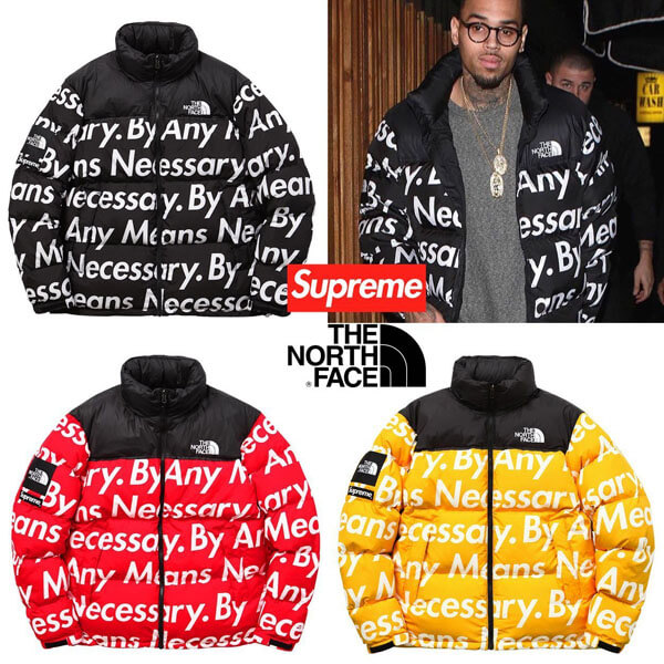 シュプリーム ノースフェイス 偽物 シュプリーム The North Face By Any Means Nuptse Jacket