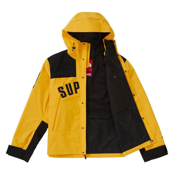 シュプリーム/ザ ノース フェイス アーク ロゴ マウンテン パーカ The North Face X シュプリームArc Logo Mountain Parka SS19 WEEK 5