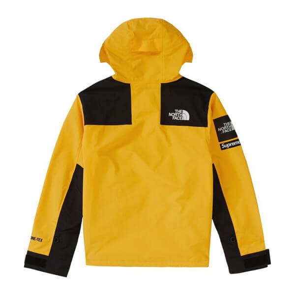 シュプリーム/ザ ノース フェイス アーク ロゴ マウンテン パーカ The North Face X シュプリームArc Logo Mountain Parka SS19 WEEK 5