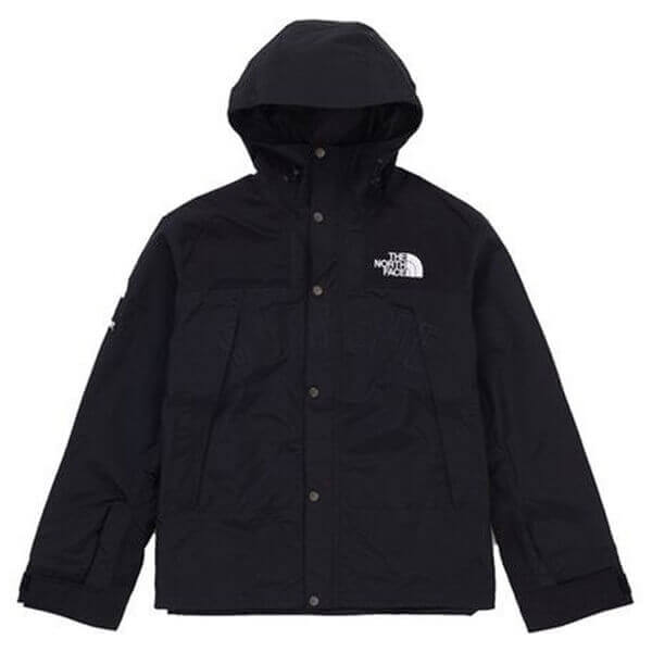 シュプリーム/ザ ノース フェイス アーク ロゴ マウンテン パーカ The North Face X シュプリームArc Logo Mountain Parka SS19 WEEK 5