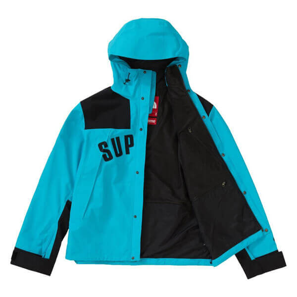 シュプリーム/ザ ノース フェイス アーク ロゴ マウンテン パーカ The North Face X シュプリームArc Logo Mountain Parka SS19 WEEK 5