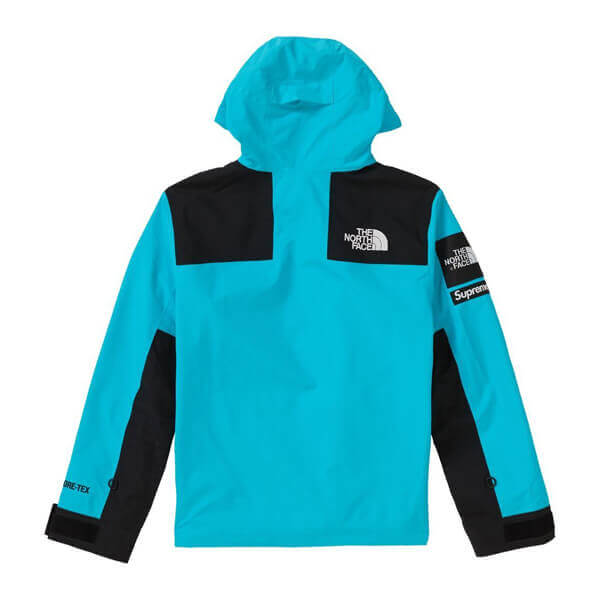 シュプリーム/ザ ノース フェイス アーク ロゴ マウンテン パーカ The North Face X シュプリームArc Logo Mountain Parka SS19 WEEK 5