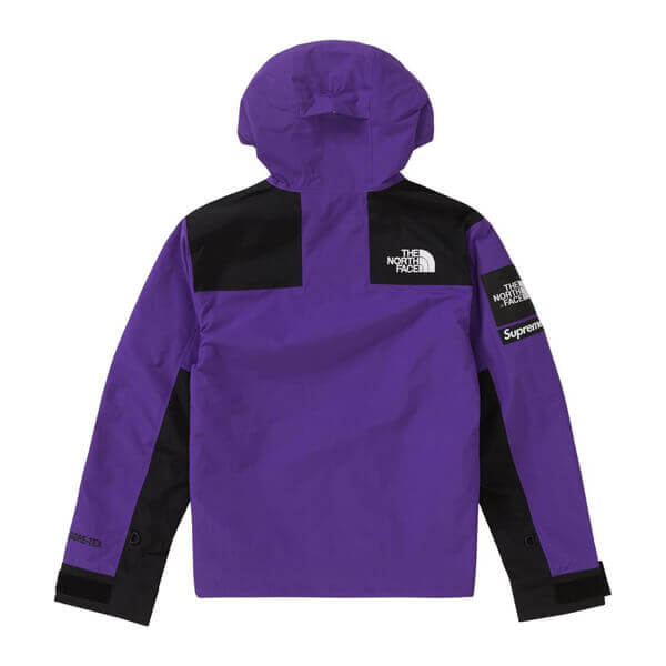 シュプリーム/ザ ノース フェイス アーク ロゴ マウンテン パーカ The North Face X シュプリームArc Logo Mountain Parka SS19 WEEK 5