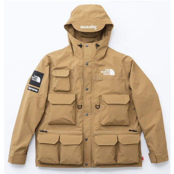 超入手困難 激レア!THE NORTH FACE Trans Antarctica Fleece JK