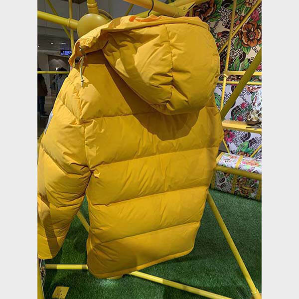 THE ノースフェイス × グッチ DOWN JACKET ダウンコート2色