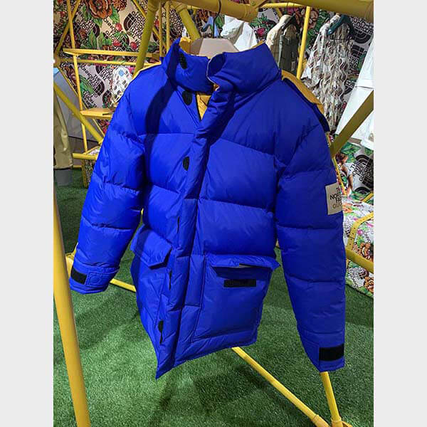 THE ノースフェイス × グッチ DOWN JACKET ダウンコート2色